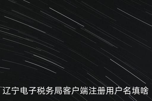網(wǎng)上辦稅帳號(hào)是什么，登錄國(guó)稅網(wǎng)上辦稅服務(wù)廳的用戶名和密碼是什么