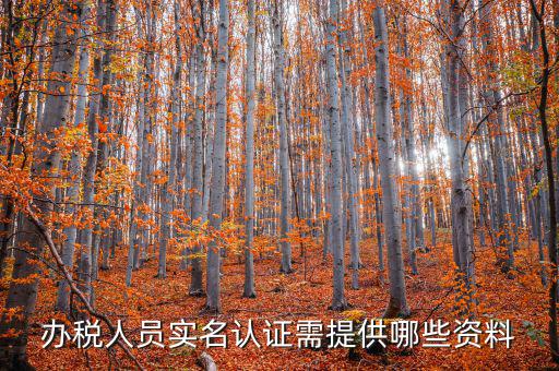 實(shí)名辦稅需要什么資料，在國(guó)稅局辦理法人實(shí)名制認(rèn)證要帶什么材料