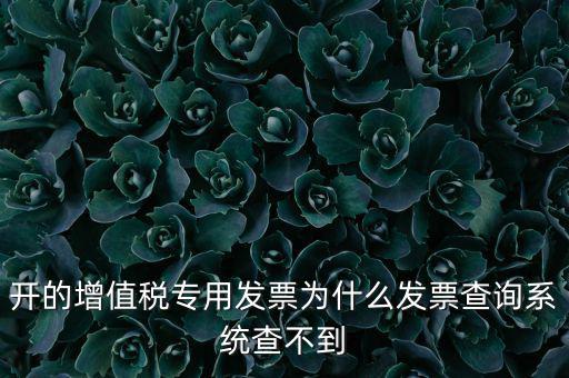 開(kāi)的增值稅專(zhuān)用發(fā)票為什么發(fā)票查詢(xún)系統(tǒng)查不到