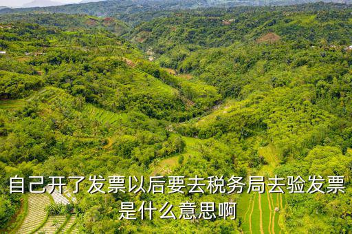 驗(yàn)證發(fā)票是什么意思啊，請問發(fā)票認(rèn)證是什么意思