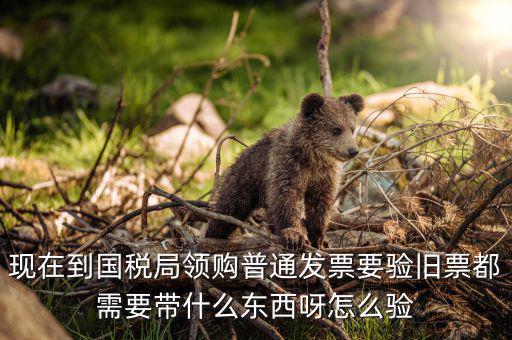 發(fā)票驗(yàn)舊都需要帶什么，現(xiàn)在到國稅局領(lǐng)購普通發(fā)票要驗(yàn)舊票都需要帶什么東西呀怎么驗(yàn)