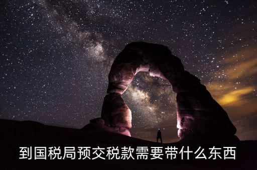 預(yù)繳稅金需要什么資料，到國稅局預(yù)交稅款需要帶什么東西