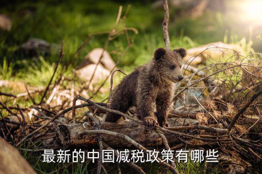 各國減稅結(jié)果會是什么，最新的中國減稅政策有哪些