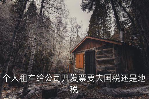 個(gè)人租車給公司開發(fā)票要去國稅還是地稅