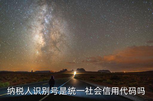 納稅人識(shí)別號(hào) 社會(huì)統(tǒng)一信用代碼是什么意思，納稅人識(shí)別號(hào)就是統(tǒng)一社會(huì)信用代碼嗎
