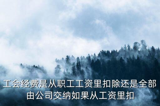 工會(huì)經(jīng)費(fèi)根據(jù)什么扣除，職工工會(huì)經(jīng)費(fèi)準(zhǔn)予扣除標(biāo)準(zhǔn)為多少