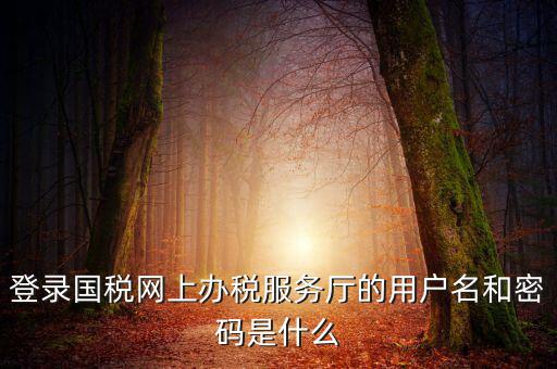 稅務(wù)登陸密碼是什么意思，國稅第一次網(wǎng)上申報的登陸密碼是什么