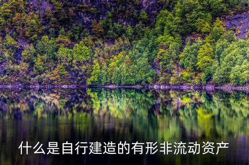 什么叫自建不動產(chǎn)，自建不動產(chǎn)不共擔(dān)風(fēng)險(xiǎn)的投資行為
