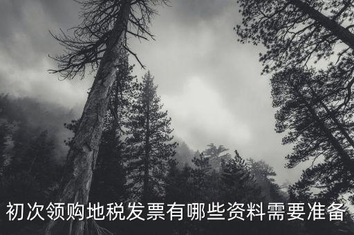 初次領(lǐng)購地稅發(fā)票有哪些資料需要準備