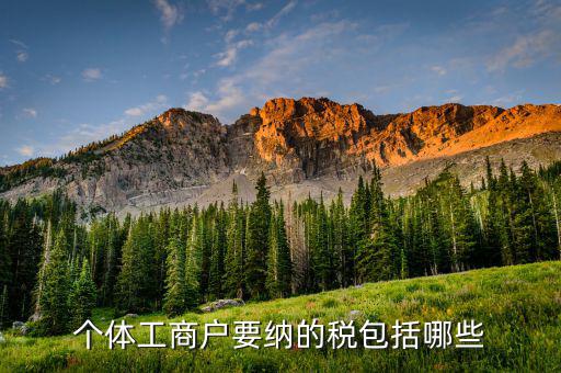 個體戶需要繳納什么稅，個體工商戶需要交哪些稅個體工商戶稅收