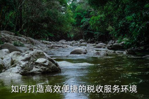 什么是稅務(wù)延時服務(wù)，去辦國稅跟地稅超期一天怎么辦