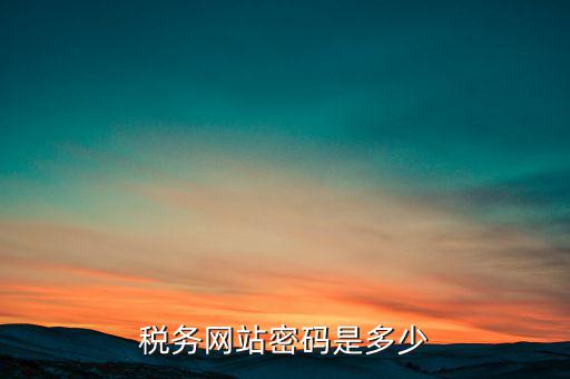 國(guó)稅網(wǎng)登錄密碼是什么，稅務(wù)局網(wǎng)站的登入賬戶初始密碼是什么