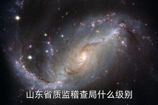 稽查局什么級(jí)別，山東省質(zhì)監(jiān)稽查局什么級(jí)別