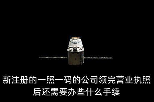 一照一碼后還需辦什么，網(wǎng)上申請一照一碼必須要經(jīng)辦人的U盾嗎