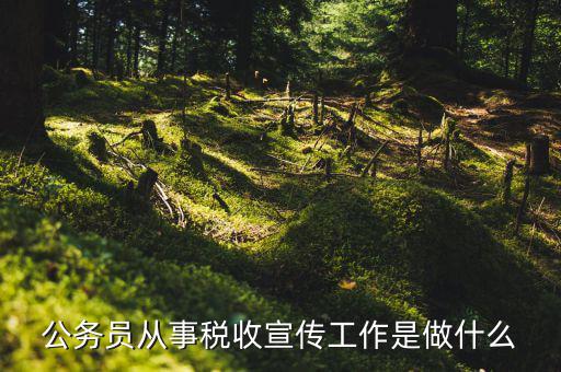 什么是稅收宣傳，公務(wù)員從事稅收宣傳工作是做什么