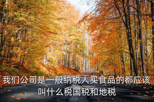 國(guó)稅叫什么公司，我們公司是一般納稅人買(mǎi)食品的都應(yīng)該叫什么稅國(guó)稅和地稅