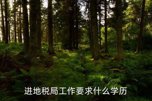 地稅上班要會什么最低學(xué)歷，要去地稅局上班都要學(xué)些什么啊