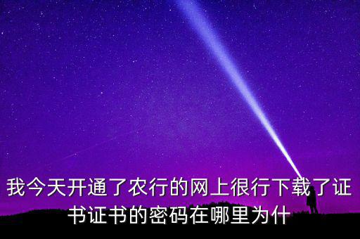 查看證書密碼是什么原因，我今天開通了農(nóng)行的網(wǎng)上很行下載了證書證書的密碼在哪里為什