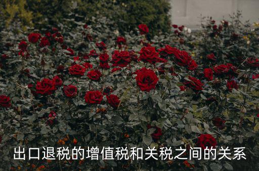 出口關稅和什么有關系，出口退稅與進口增值稅有什么關系