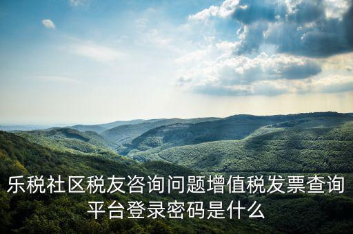 樂稅社區(qū)稅友咨詢問題增值稅發(fā)票查詢平臺(tái)登錄密碼是什么