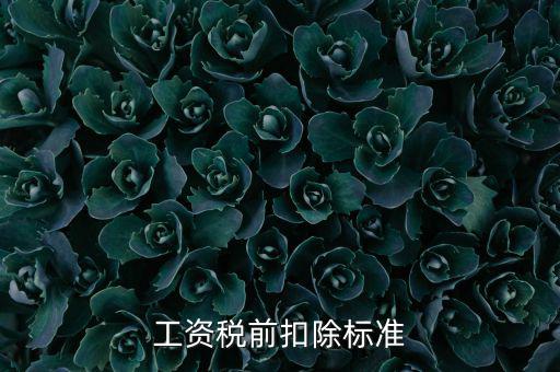 什么是稅前扣除標(biāo)準(zhǔn)，請(qǐng)問差旅費(fèi)稅前扣除標(biāo)準(zhǔn)是什么