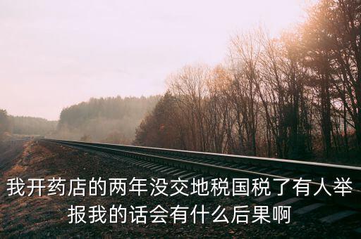 國稅舉報有什么后果，我開藥店的兩年沒交地稅國稅了有人舉報我的話會有什么后果啊