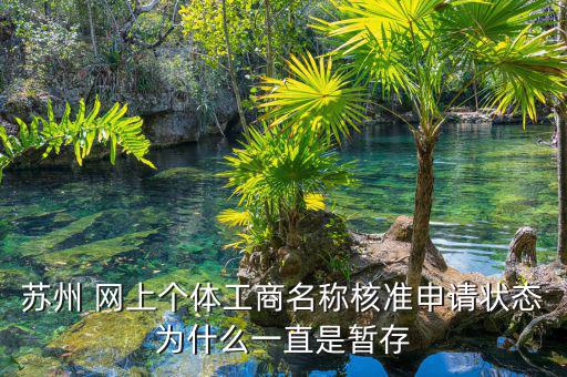 蘇州 網(wǎng)上個體工商名稱核準申請狀態(tài)為什么一直是暫存