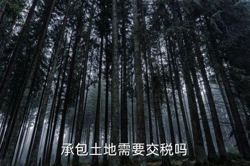 土地承包費(fèi)征什么稅，我公司承包一農(nóng)民的土地承包期限至該農(nóng)民包地期限為止請(qǐng)問我公