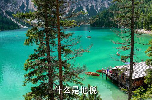 地稅系統(tǒng)是什么，地稅開(kāi)票系統(tǒng)