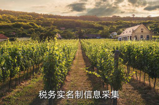 實(shí)名采集需要什么資料，實(shí)名制驗(yàn)證身份證信息采集有沒有這種身份證證件識(shí)別方式  搜