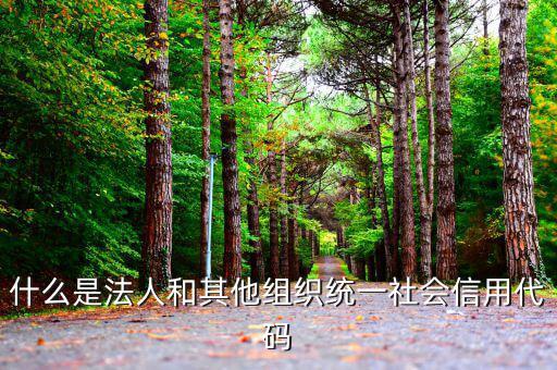 機(jī)關(guān)有社會信用代碼是什么意思，社會信用代碼與機(jī)構(gòu)信用代碼有什么不同