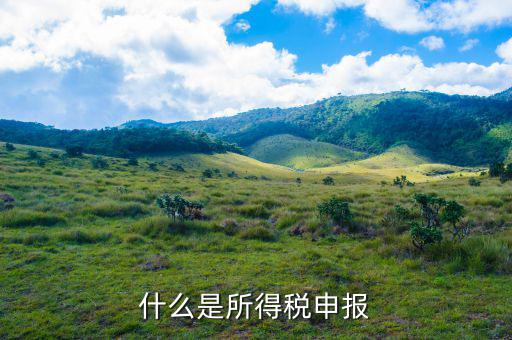 申報(bào)個(gè)人所得稅是什么意思，個(gè)人所得稅的意思