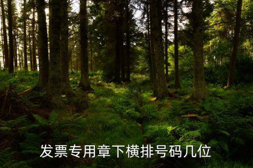 發(fā)票專用章的號碼是什么，發(fā)票專用章和公章上的號碼是一樣的不都是執(zhí)業(yè)許可證號