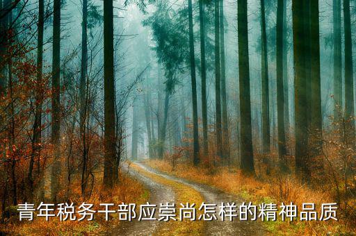 中國稅務精神是什么，在稅務工作中應該樹立什么樣的精神