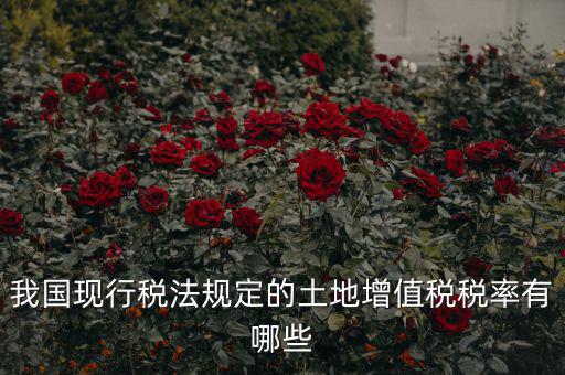 土地增值稅采用什么稅率，土地增值稅應(yīng)用于哪種稅率形式