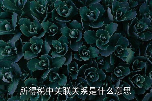 所得稅關(guān)聯(lián)表是什么意思，所得稅中關(guān)聯(lián)關(guān)系是什么意思