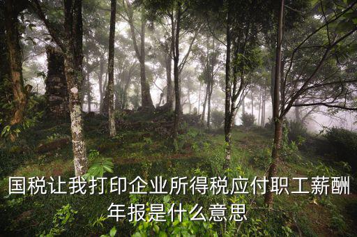 所得稅年報(bào)是什么意思，企業(yè)所得稅年報(bào)是什么意思怎么報(bào)去年4個(gè)季度都報(bào)了呀我是