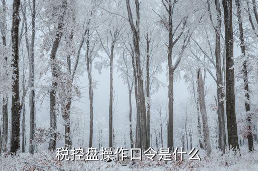 金稅盤開票密碼口令是什么意思，金稅盤清零后重新領(lǐng)取了發(fā)票開票口令是什么