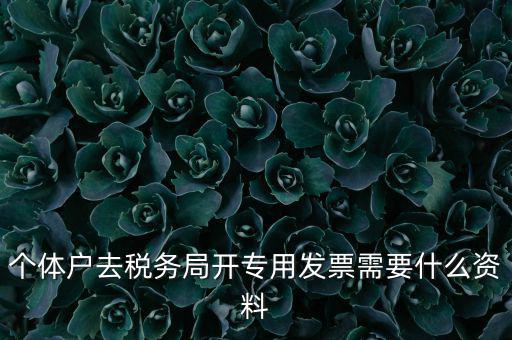 個(gè)體戶開(kāi)專(zhuān)票需要什么，個(gè)體在國(guó)稅局開(kāi)增值稅專(zhuān)用發(fā)票需要什么資料