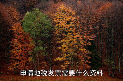 地稅局開票需要帶什么，申請地稅發(fā)票需要什么資料