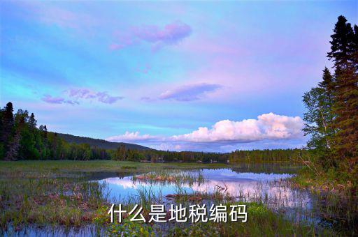 地稅登記編號(hào)是什么，什么是地稅號(hào)