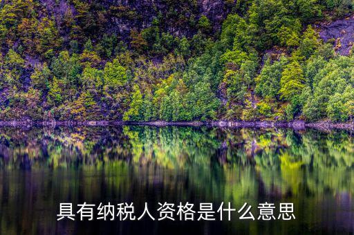 單位納稅資質(zhì)是什么，具有納稅人資格是什么意思
