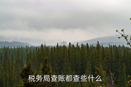 稅務(wù)局查稅一般查什么，請問一下老師一般稅務(wù)局人來查帳一般查什么的
