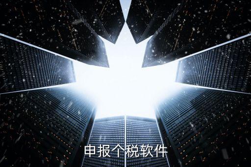 個稅用什么軟件申報表，個稅申報軟件里面扣繳個人所得稅明細(xì)報告表打印