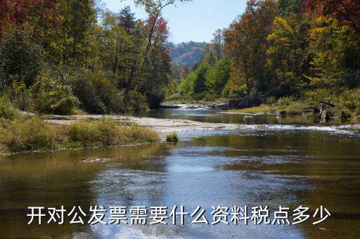 對公開票需要什么信息，公對公開發(fā)票 需要對方什么信息