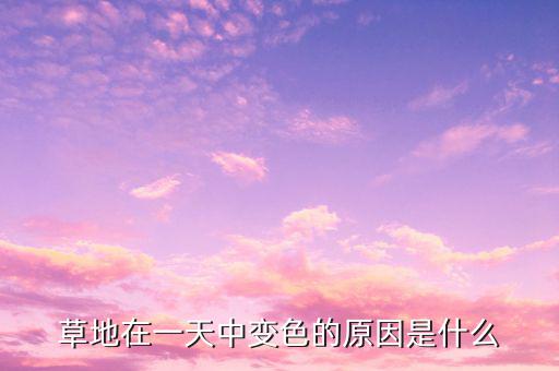 草地的顏色變化與什么有關(guān)系，草地變色的原因是什么