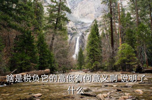 什么是稅負(fù)分析，增值稅稅負(fù)什么意思