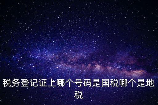 國稅地稅登記號是什么，稅務(wù)登記證上哪個號碼是國稅哪個是地稅