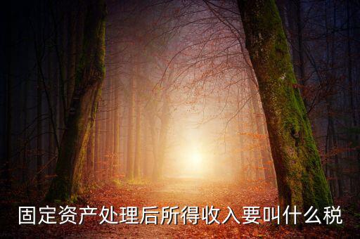 什么叫做試點納稅人，固定資產(chǎn)處理后所得收入要叫什么稅