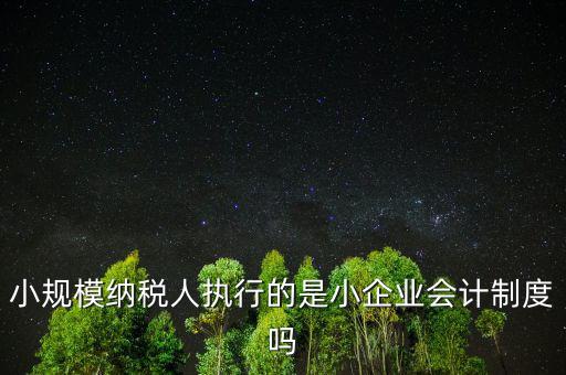 小規(guī)模納稅人什么制度，我國增值稅法對小規(guī)模納稅人實行什么法
